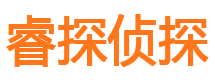 青田市侦探公司